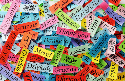 inalisaru Online Eğitim